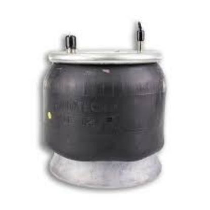 Picture of AIR SPRING