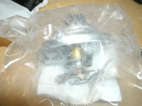 Picture of THERMOSTAT