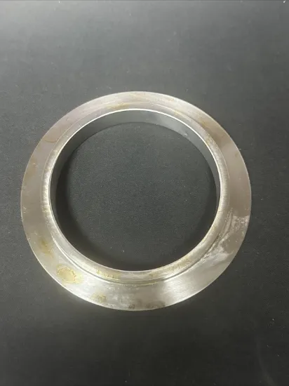 Picture of Seal, Carbon