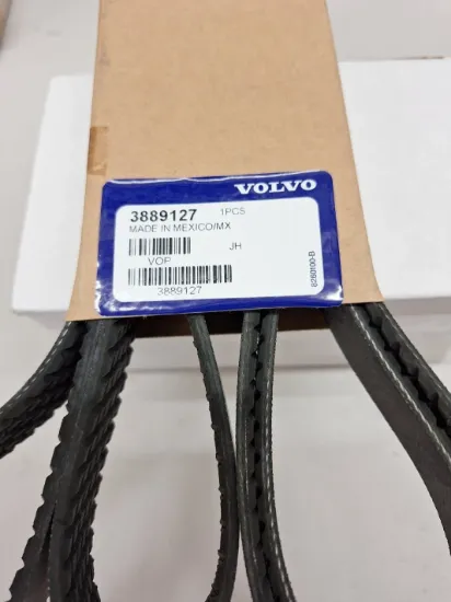Picture of BELT
