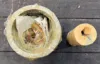 Picture of Piston Kit