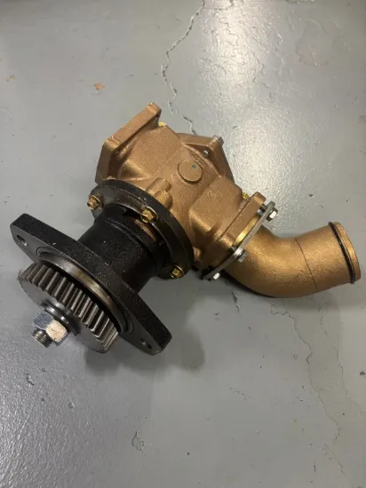 Picture of PUMP, SEA WATER