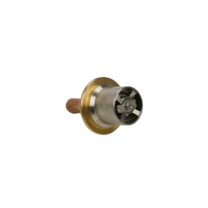 THERMO-STAT ASSEMBLY