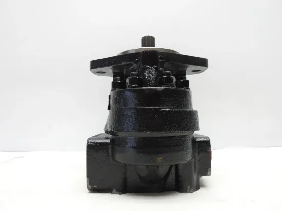 Picture of Hydraulic Pump