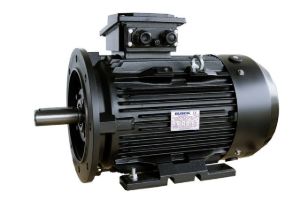 Three-phase Asynchronous Motor
