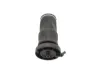 Picture of Cab Air Spring